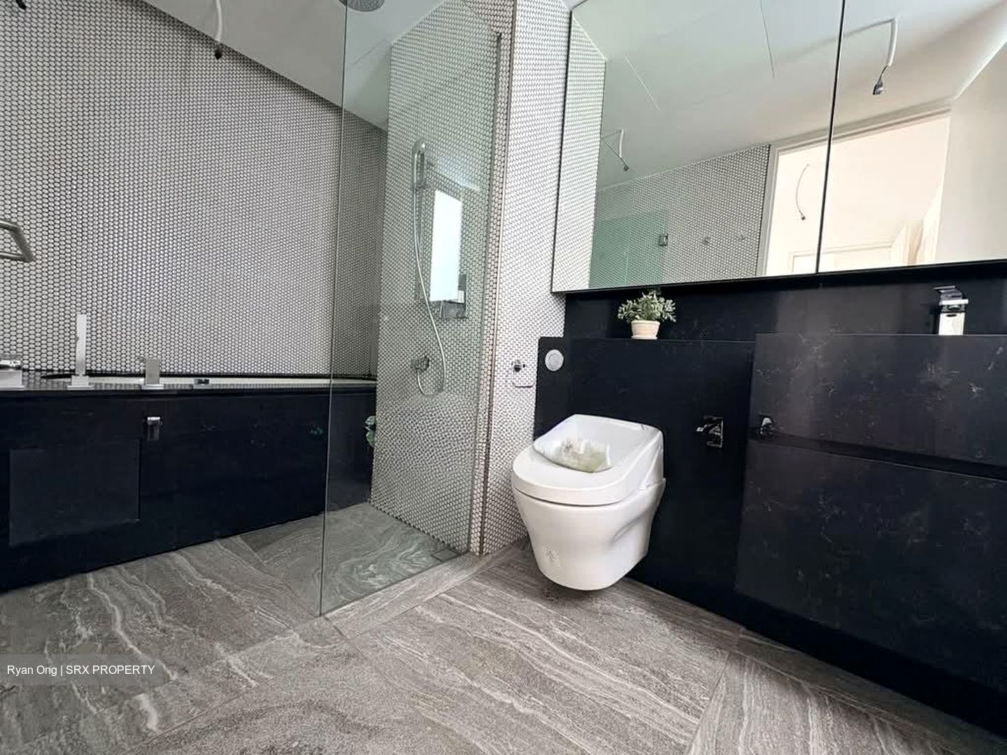 10 Evelyn (D11), Apartment #554310331